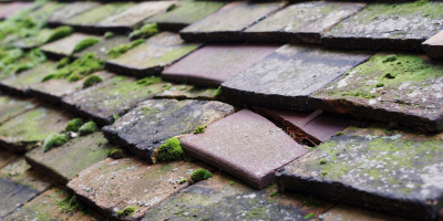 St Neots roof repair costs